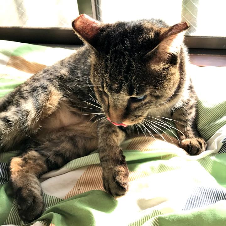 3dddc34c 056f 4fbb b479 238406e97c8a