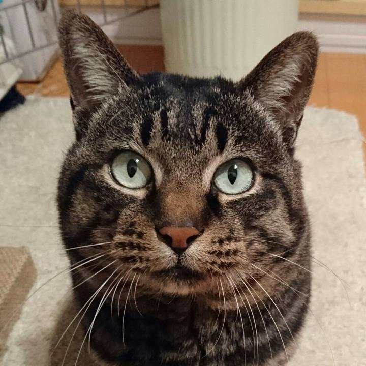 3dde2af1 b629 46a2 838a 68fd4e79eba7