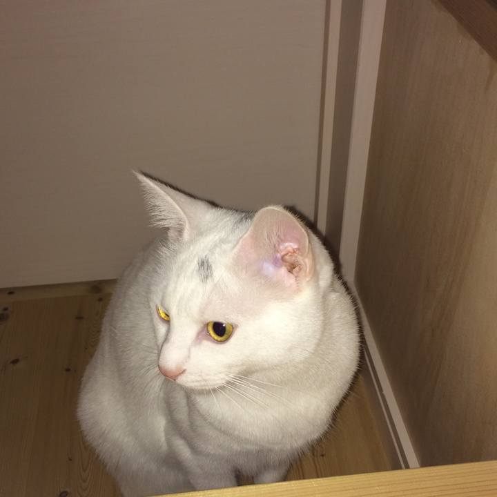 3dde9afb 41a8 4a89 8f95 00e9c0196256