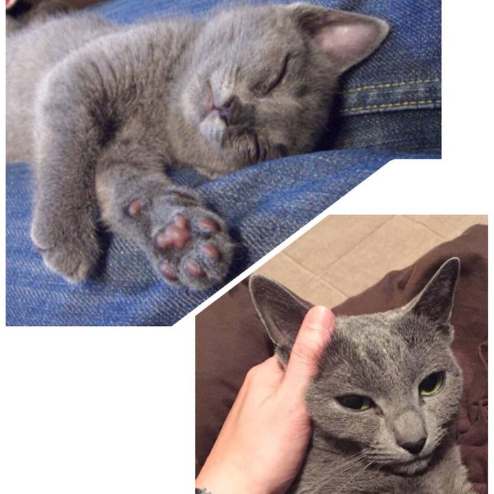 3ddecbf8 5b50 4291 a0bf fd987dc6ec4a