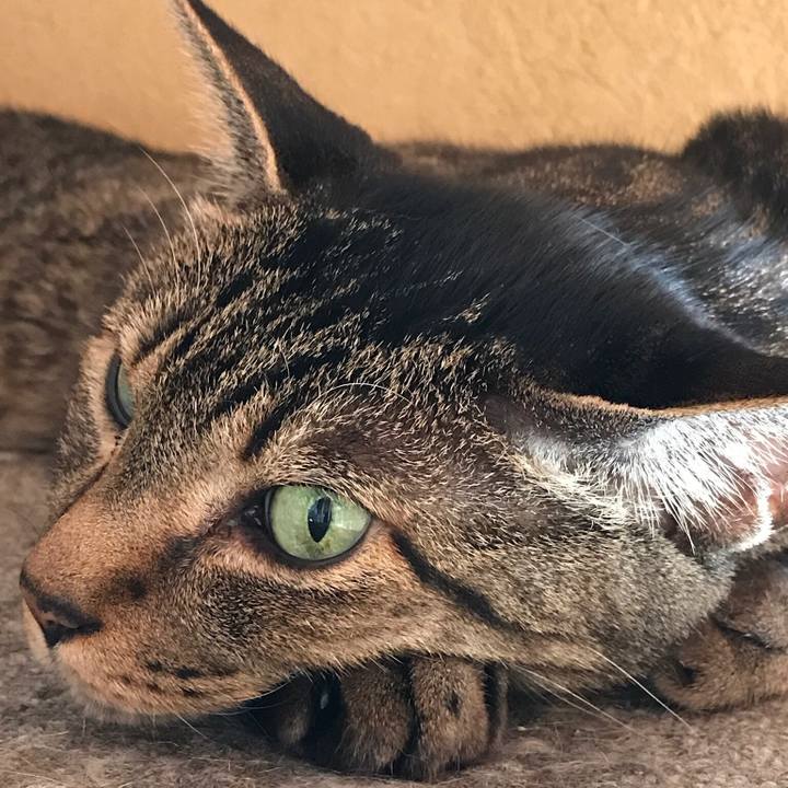 3dded575 d704 4aa8 8fe7 cdc2515c7eff