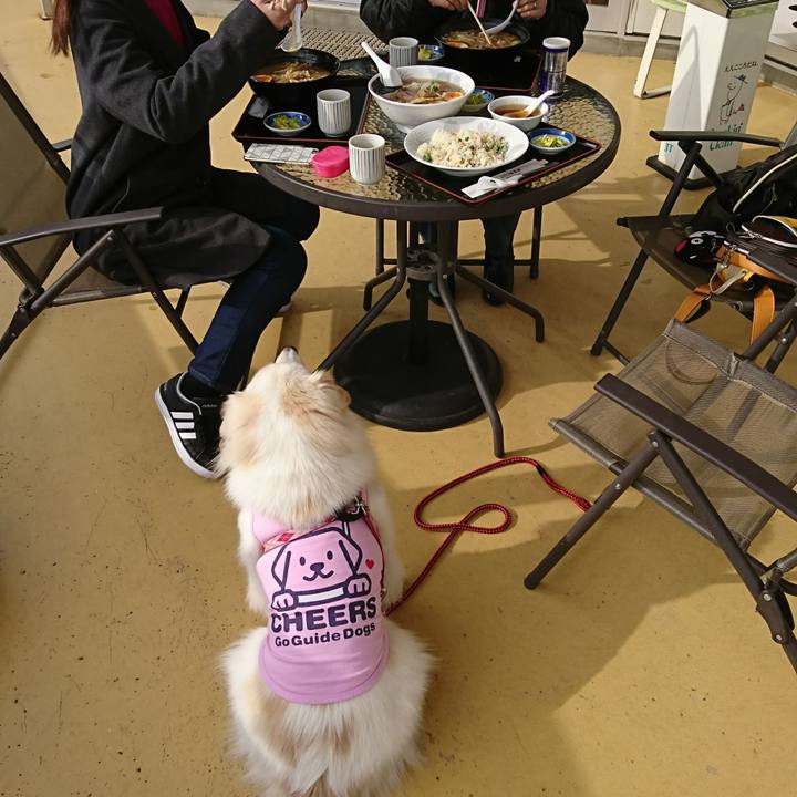 3ddfb626 55e4 41b5 b9b7 c14e0659adca