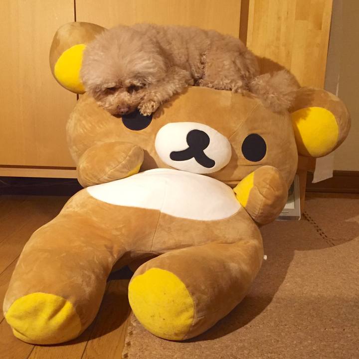 3ddfcaaa e6ab 45be 8641 264933f947f5