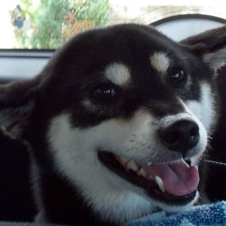 3de07c9f 454b 484e a791 ef9e7fc7fa48