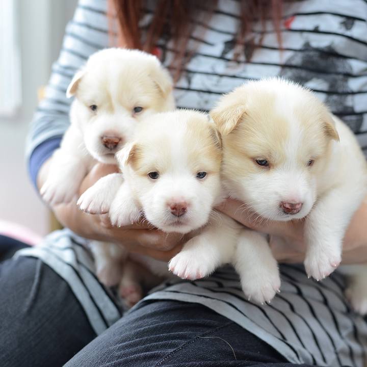 3de0e3a3 29e6 4852 94cf cadd2a6270be