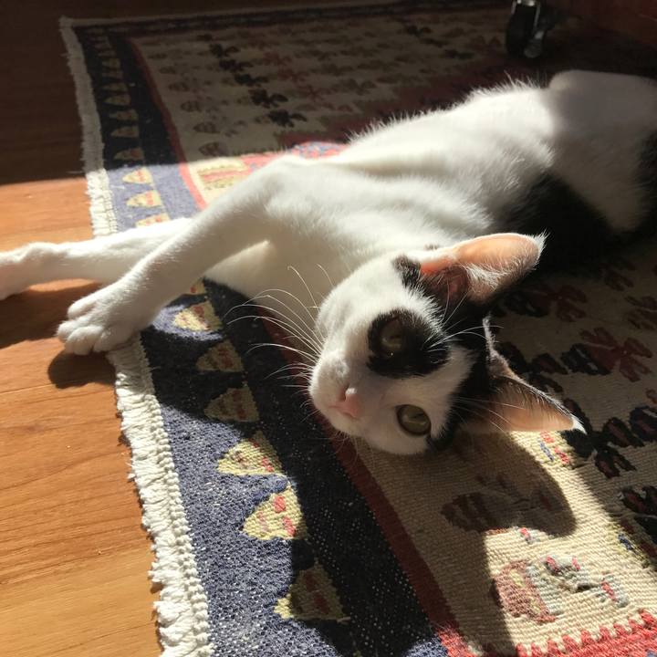 3de15630 5f50 41df bf69 932d58146f0a