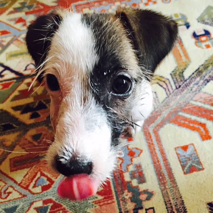 3de1ab8e 178a 4b41 9d4b 44c5d709607b