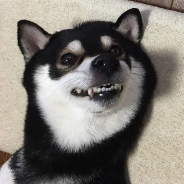 3de1d236 2367 43c3 a9d1 63e77ed67fb1