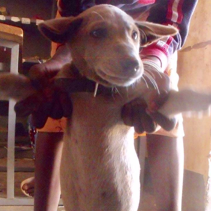 3de26d6b 3158 4047 ad99 bf10eb77c8f2