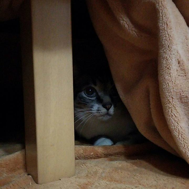 3de29d50 18ee 4737 bf65 7ef861add597