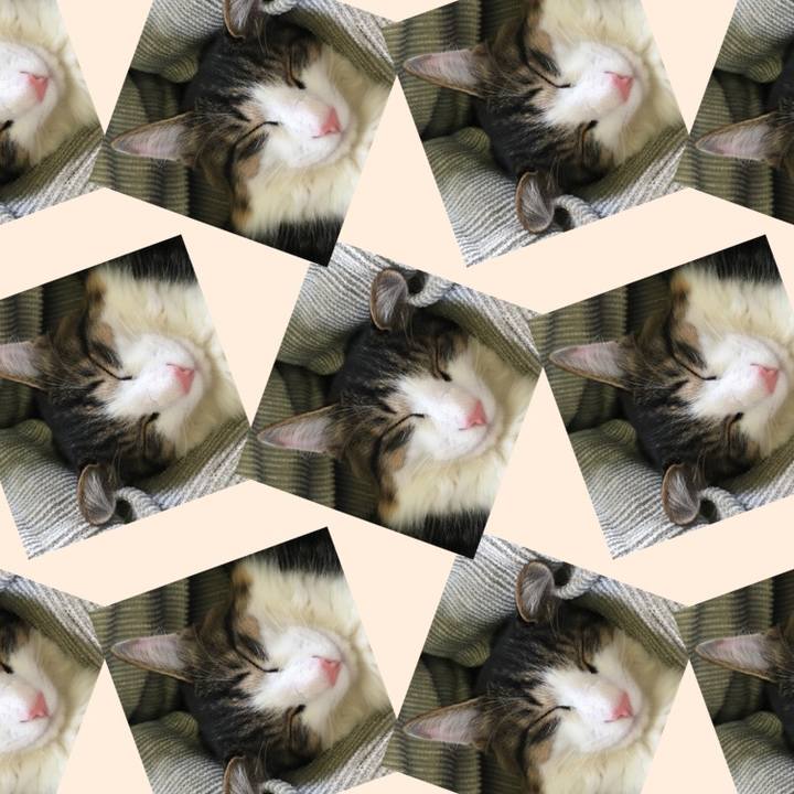 3de2e302 e013 46dc 9a70 96a0019a1696