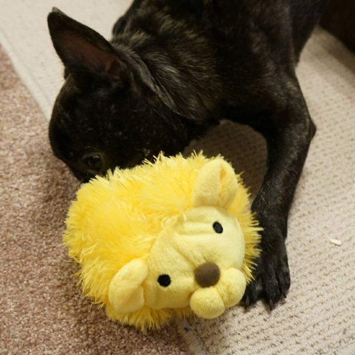 3de45088 eff2 4bdf b22e d5c9429ef53f