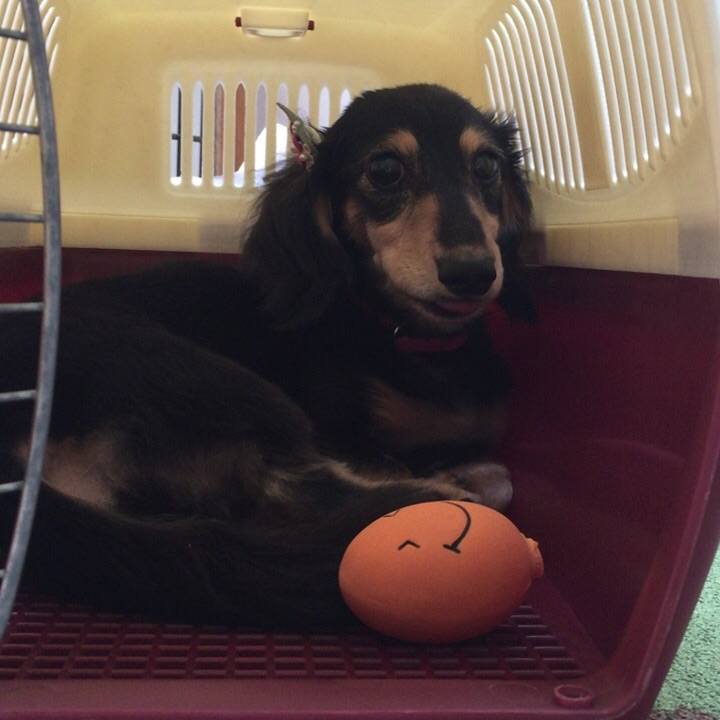 3de53382 e196 401a 9814 c5a6dac8d587