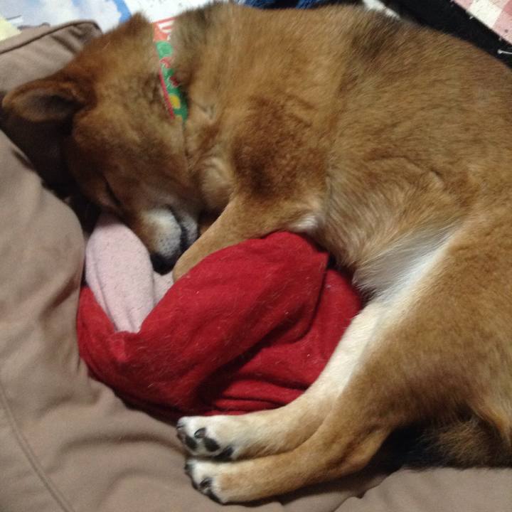 3de549d3 e7ae 403b 9941 d688280a68ae