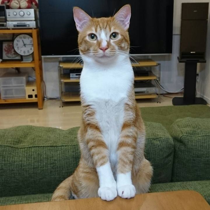 3de5560f 726c 4528 ac1f a20c3d26b247