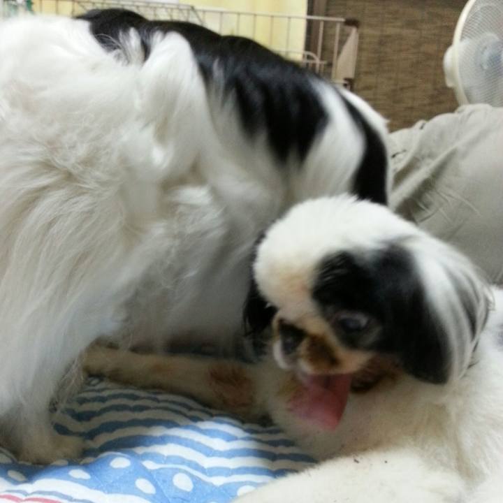 3de5bea3 3cb7 4f63 8eaf 5780359108ef