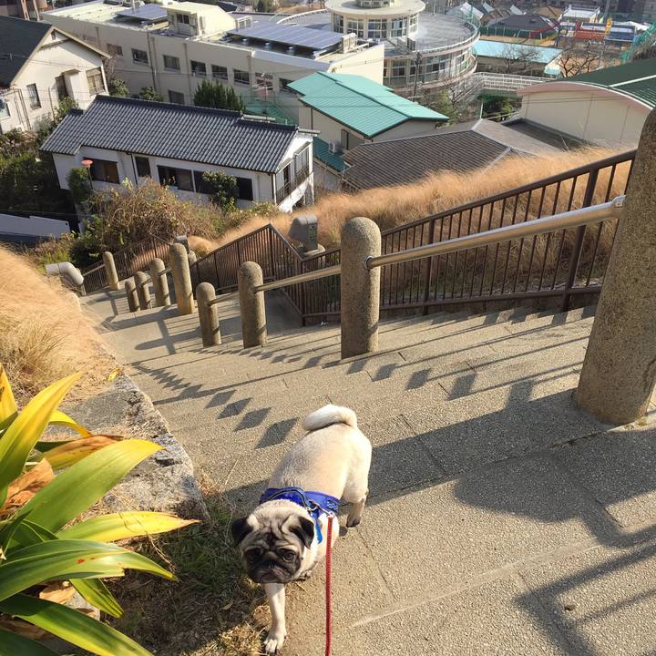 3de70836 4cf1 458d a154 2b820be5de56