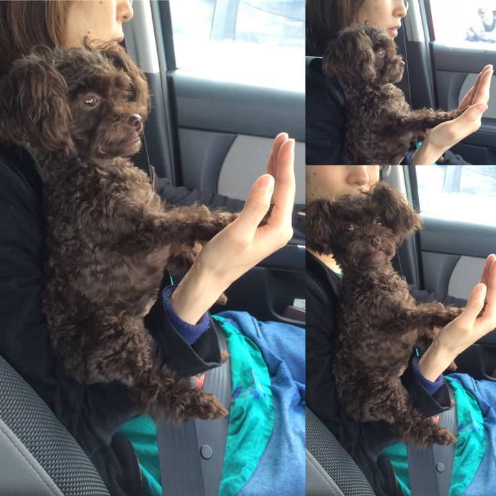 3de72dcd 33f8 4e96 9973 a9ca07cb1964