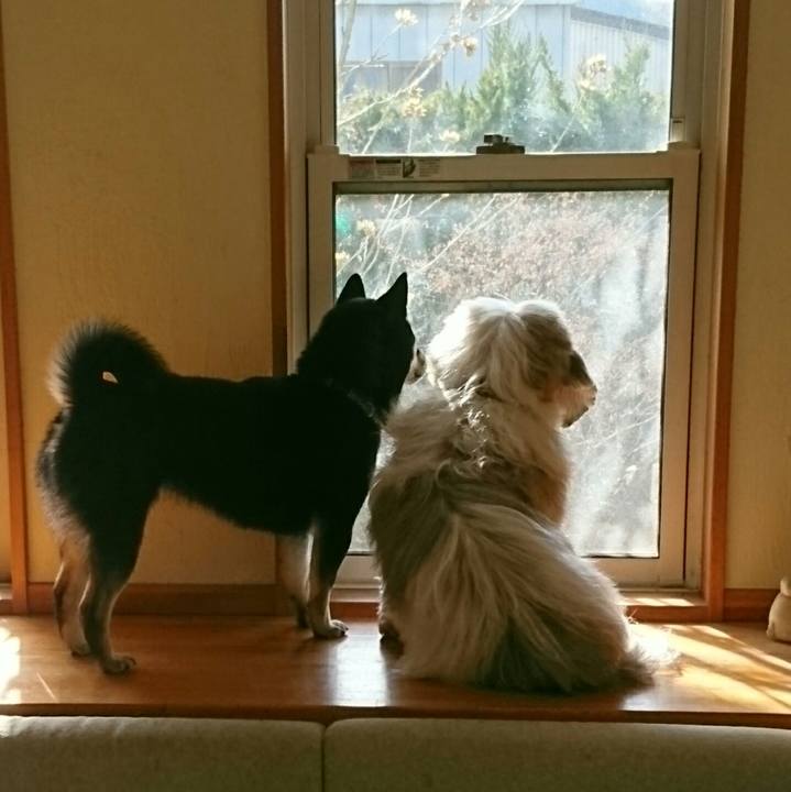 3de7521b e593 4fca b5c3 04897fa9cb27