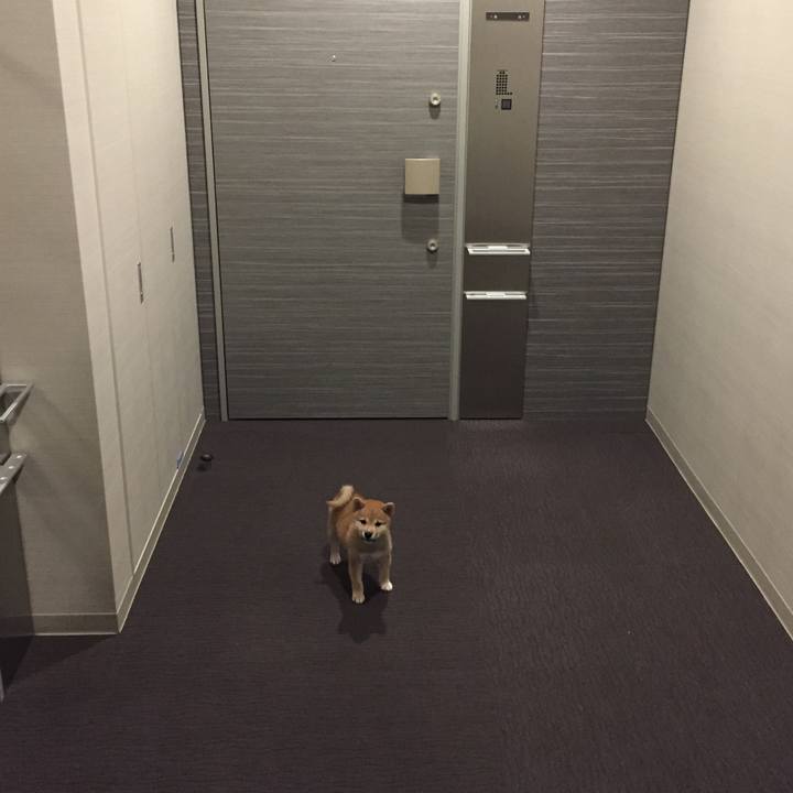 3de7528d 2c34 4ef3 83a3 7775848aa5b7