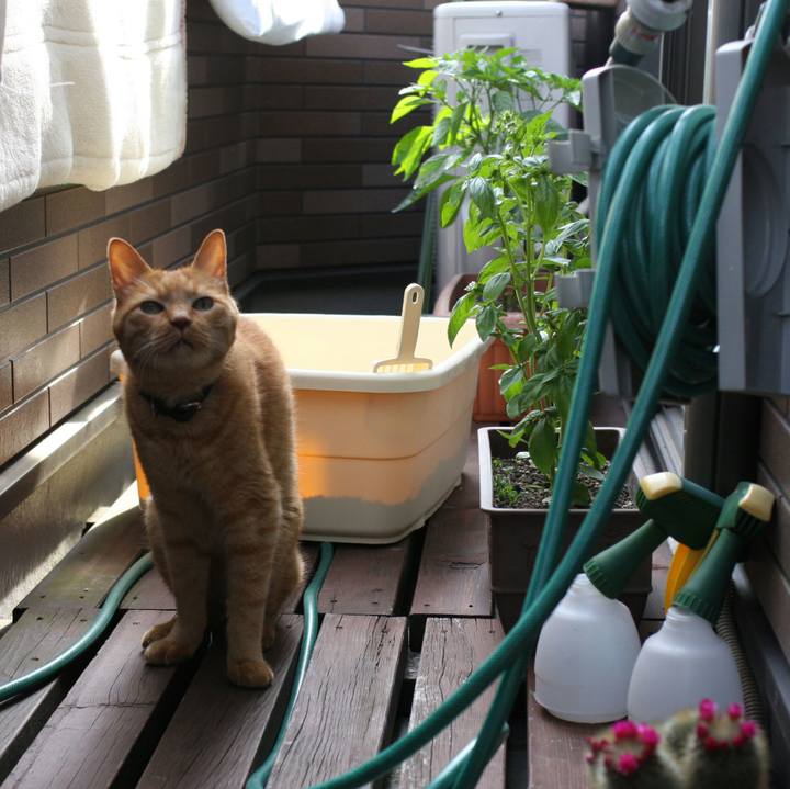 3de82c89 d49e 4d6e a660 9f692471c2be