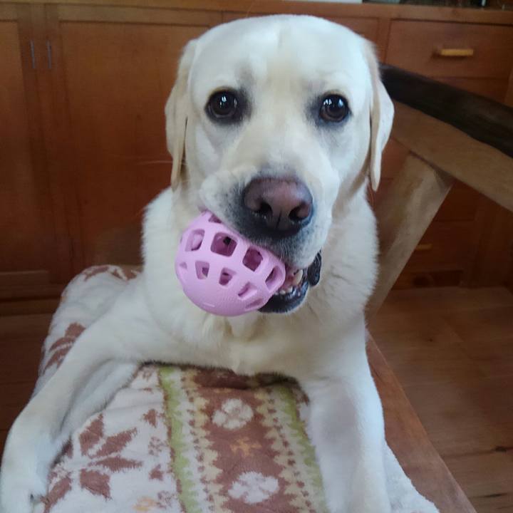 3de82da5 e1ac 4355 b31b 6c27eacb0a12