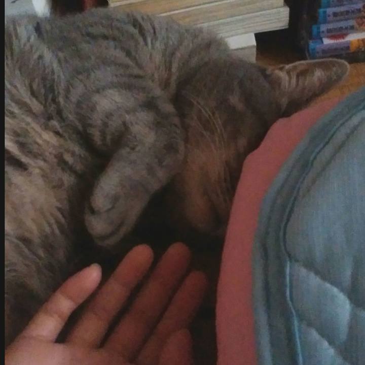 3de85df3 5529 4e00 83ca 4be85907f347