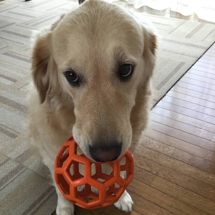 3de89472 ce4d 4aad 919a b1c2f59ca424