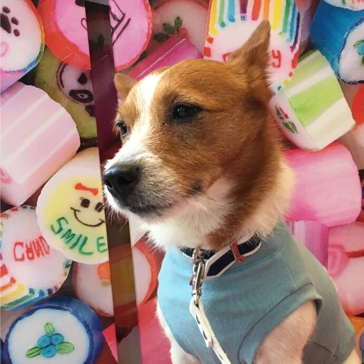 3de95756 3148 44fe a7a2 3dbc4e5cc645