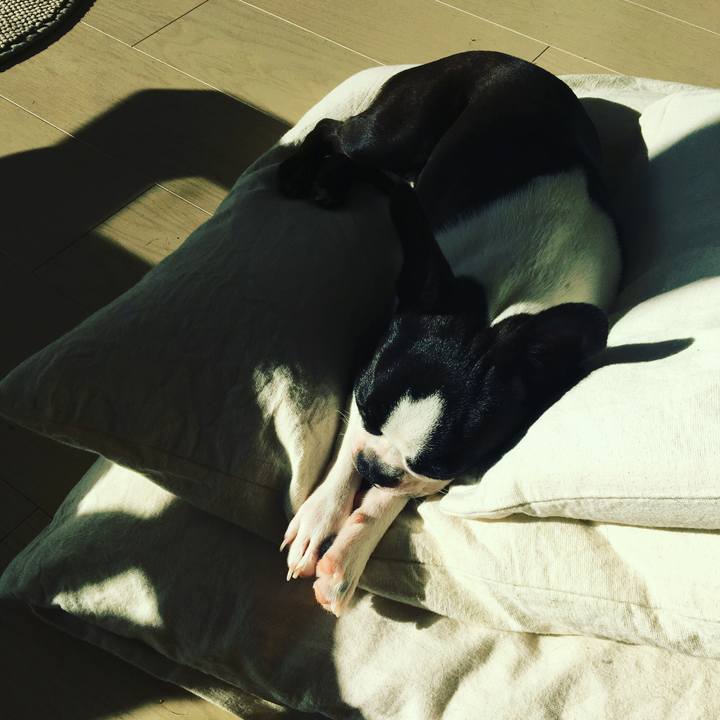 3de980a9 4790 4a74 9606 3f9cd286f162