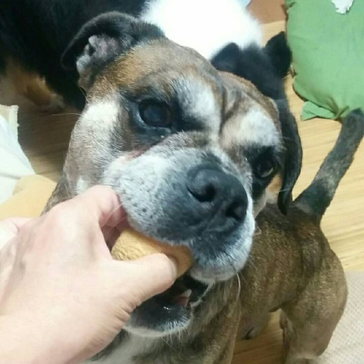 3de99ebb a665 422a 9340 584e2dfffb0f