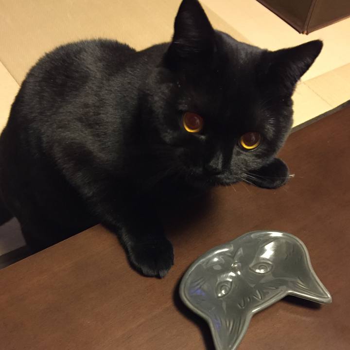 3deac226 d46f 4522 b667 68d9a328981c