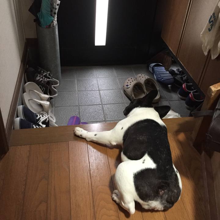 3deaec2b 6e99 48e4 a74c 427006919fb1