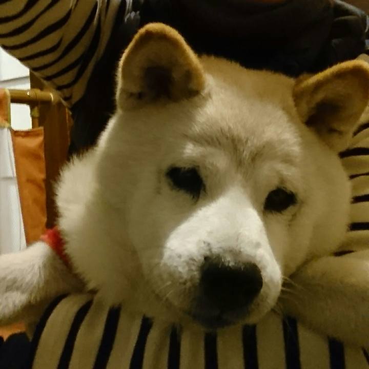 3deb27c0 a07a 4451 9be4 9d3737382bb9