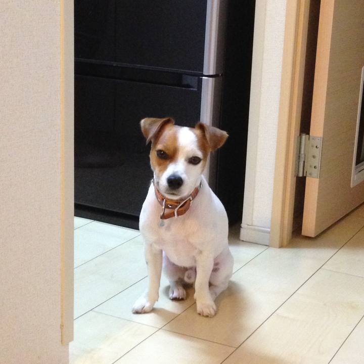 3deb4fae 3a23 4d2f 923b 269cf3c10545