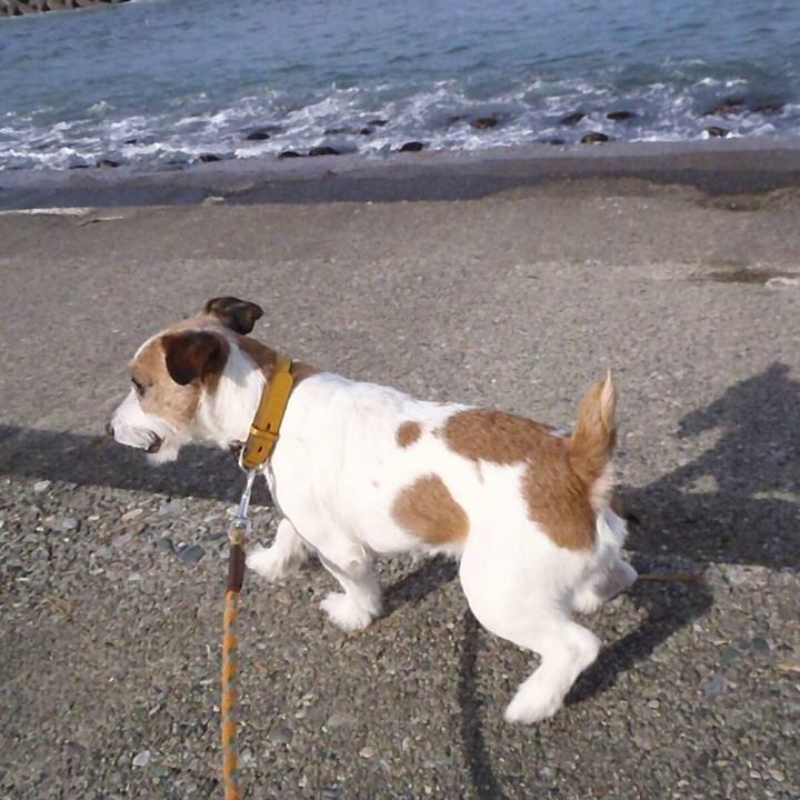 3deb5bfe 275a 4991 86f5 99028362fea8