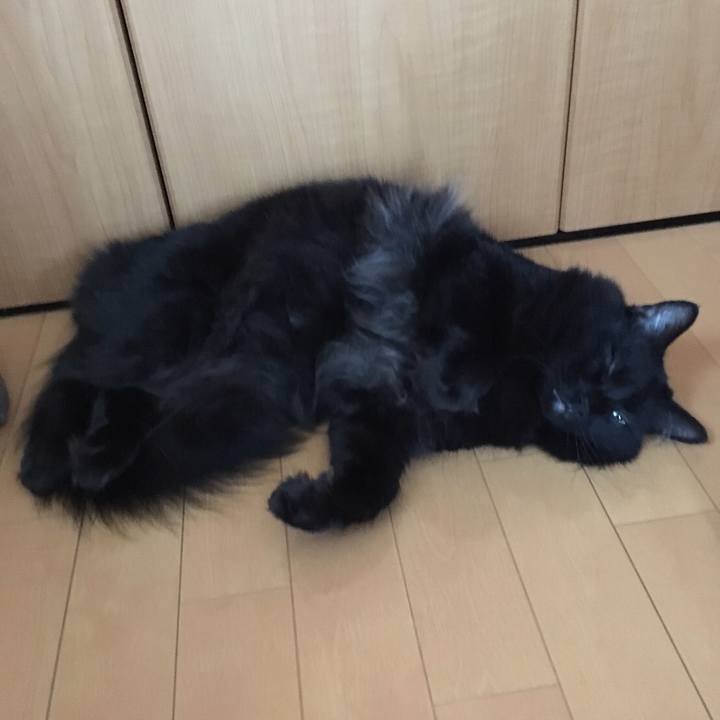 3debb31d 2e2c 46c2 b156 c6233f6b1d65