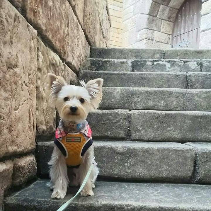 3debff1a 86bd 456d 940e d9c67c79dd22