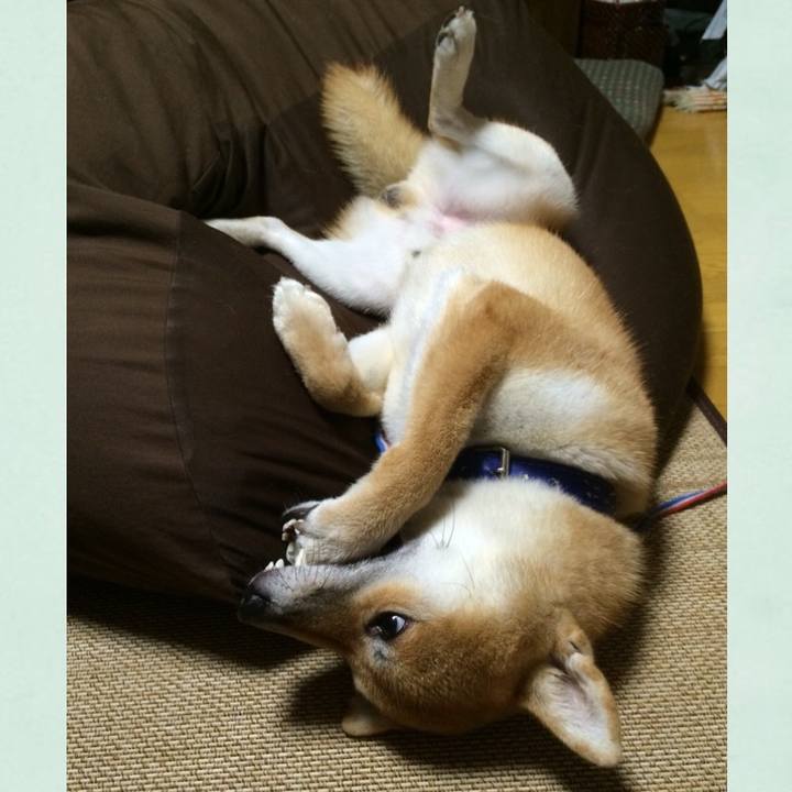 3dec3b67 f652 40da bd39 1caa8649e51a