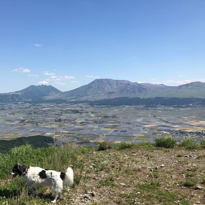 3decc19a b53a 4785 b655 a3cbe152f294