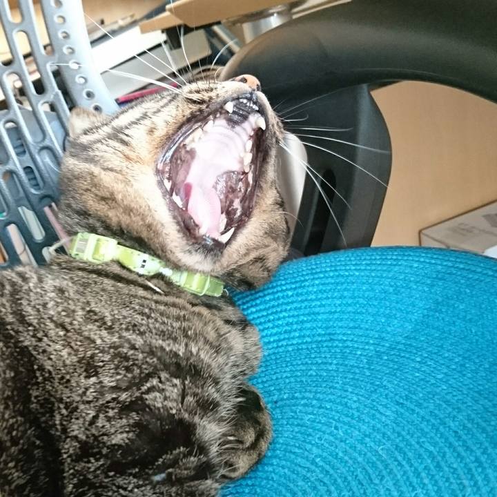 3ded08ff 2c5c 4613 98a3 ed1d42ef398f