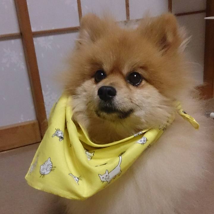 3ded1326 180e 4962 9610 e20d1b9871bf