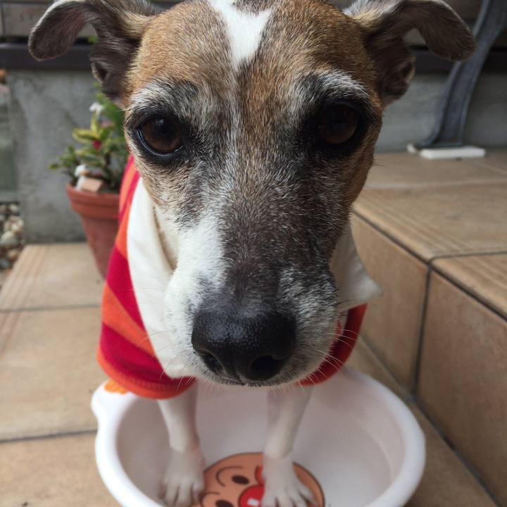 3ded4bdc 7997 42e2 bcd5 d46c67379807