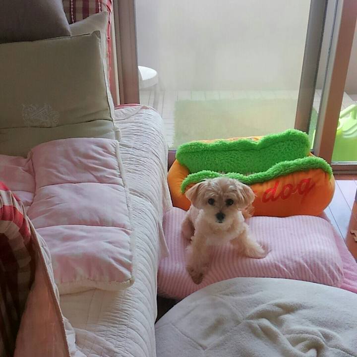 3dee2310 041e 413e 84b1 363cebb87155