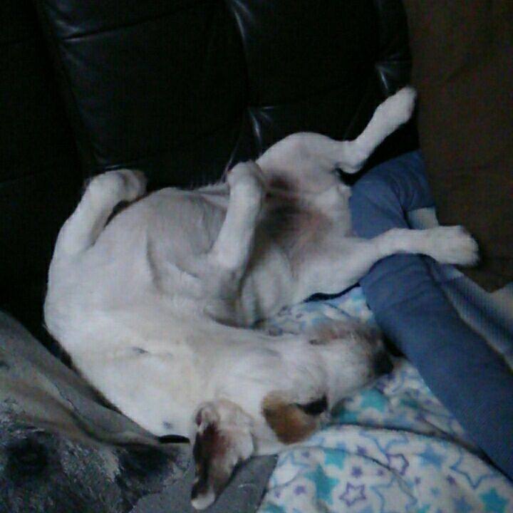 3dee256e da9e 4501 a879 617b05f0dca8