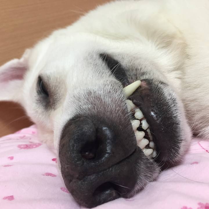 3deeb637 ea13 4e85 a1b8 37054e0333d8