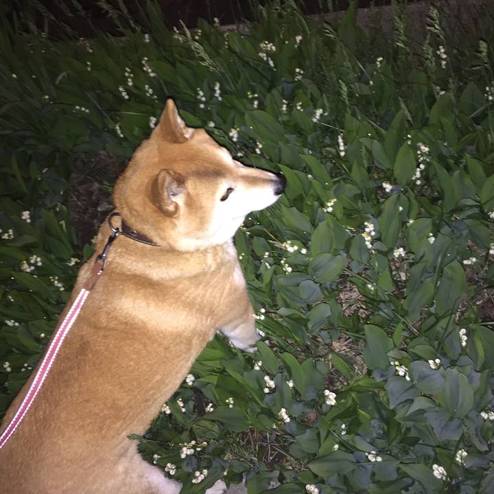 3deec449 b7f5 4240 92bd 870067b2f6e7