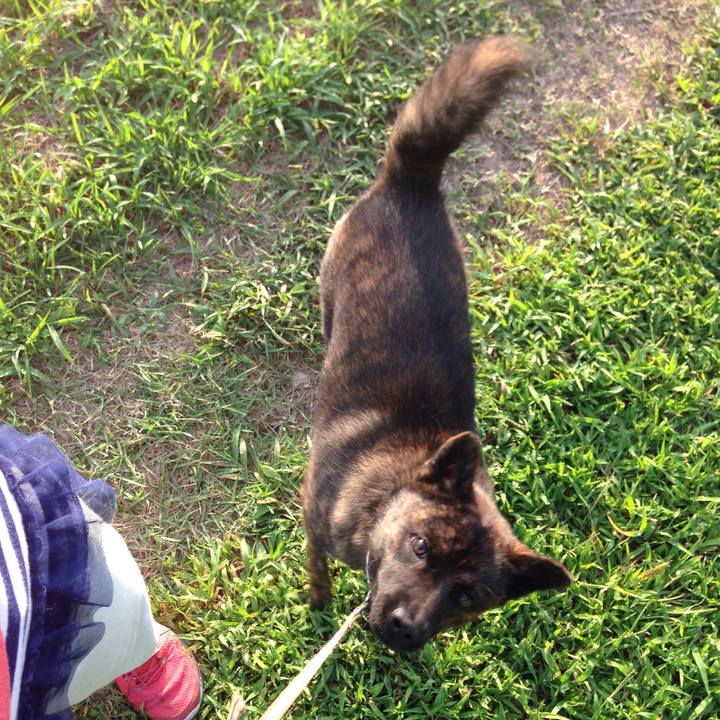 3deed198 5240 40ee bf80 5f00ac03e6f7