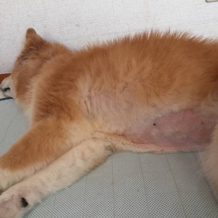 3def66aa 7f86 4351 81b8 8c35eb3b4686