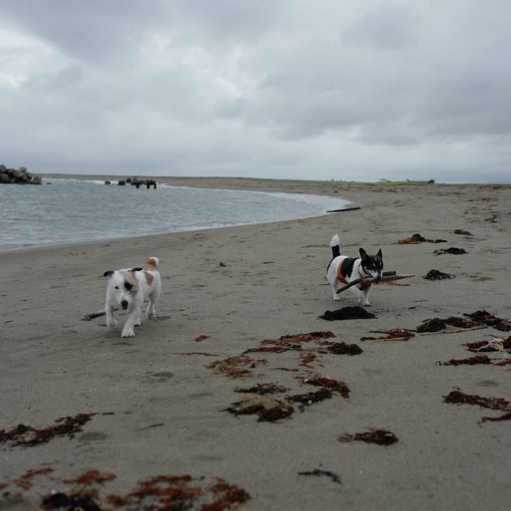 3df034d4 61d4 4f60 8820 b23e5b741ab6